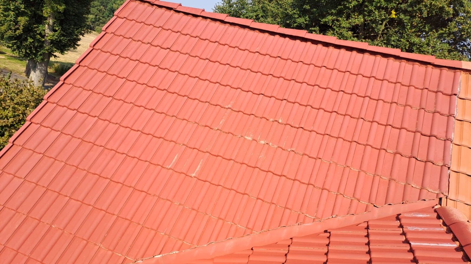 Dachreinigung Alveslohe