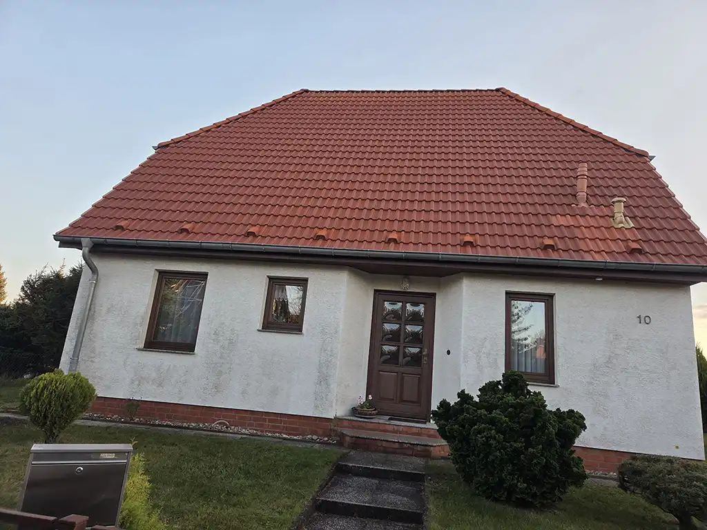 dach-reinigen-lassen